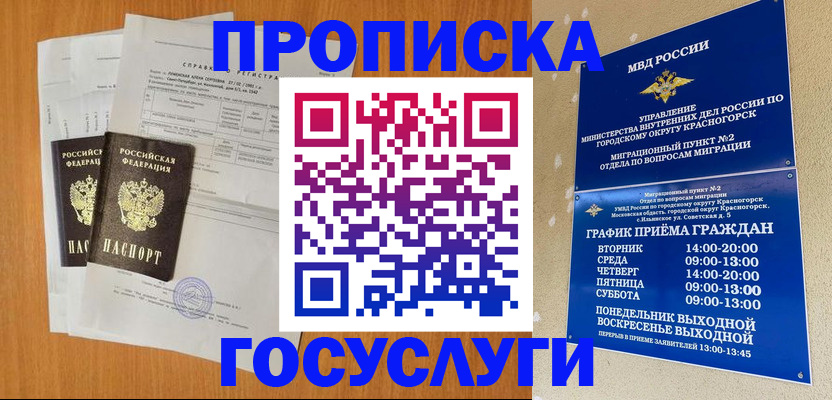 прописка штамп в Дмитрове